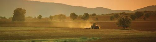 Farm Field with Tractor